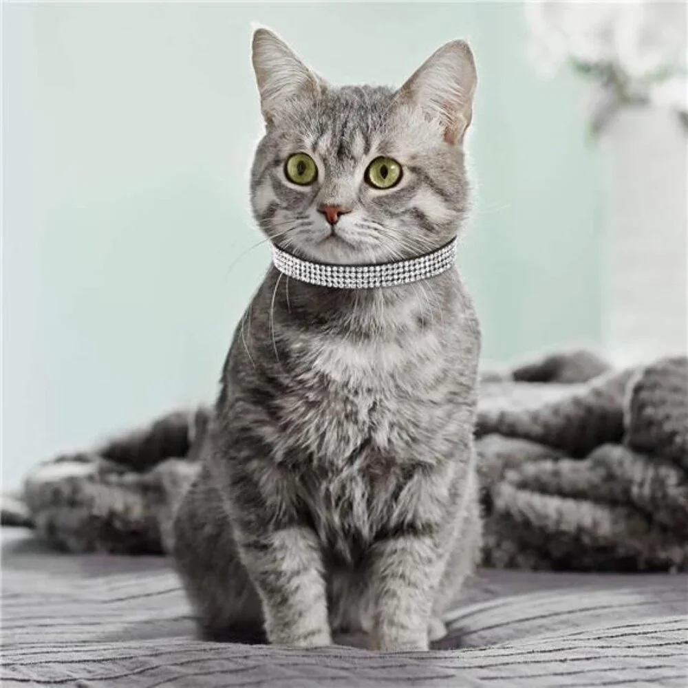 4 Pcs Rhinestone Cat Collar Heart Bling